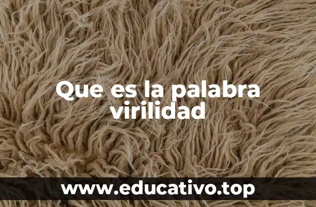 Que es la palabra virilidad