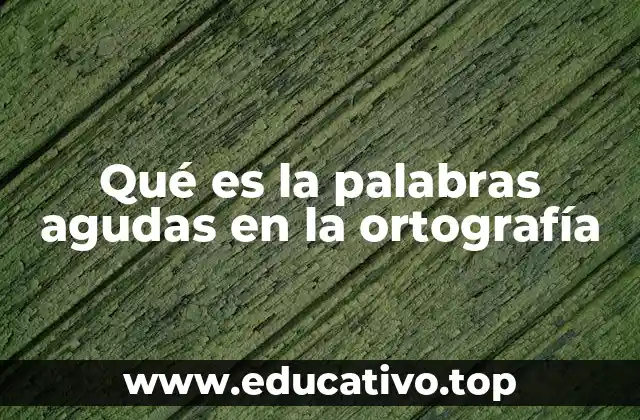 Qué es la palabras agudas en la ortografía