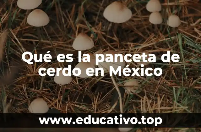 Qué es la panceta de cerdo en México