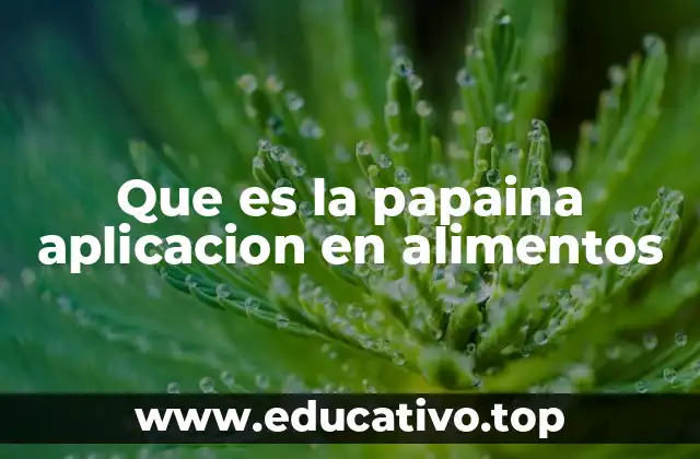 Aplicaciones de la enzima papaina en la industria alimentaria