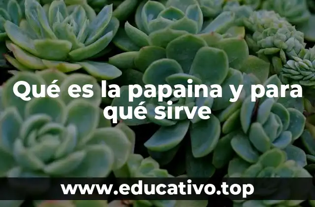 Qué es la papaina y para qué sirve