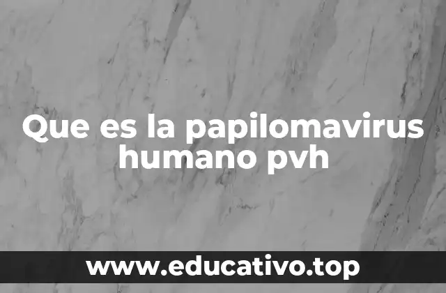 Que es la papilomavirus humano pvh