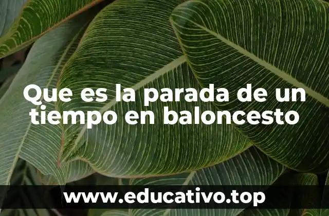 Que es la parada de un tiempo en baloncesto