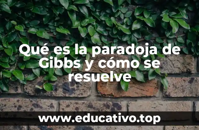 Qué es la paradoja de Gibbs y cómo se resuelve