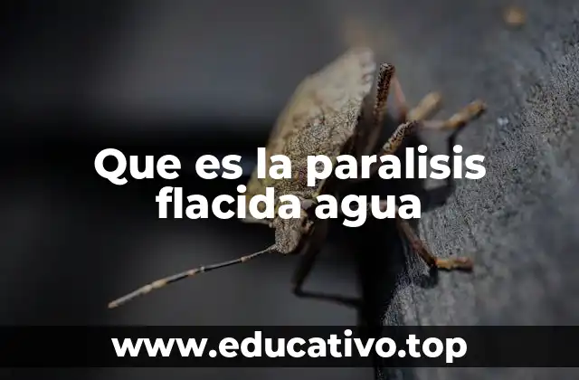 Cómo el cuerpo procesa el agua y qué ocurre cuando se excede