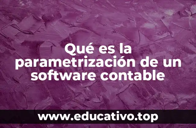 Qué es la parametrización de un software contable