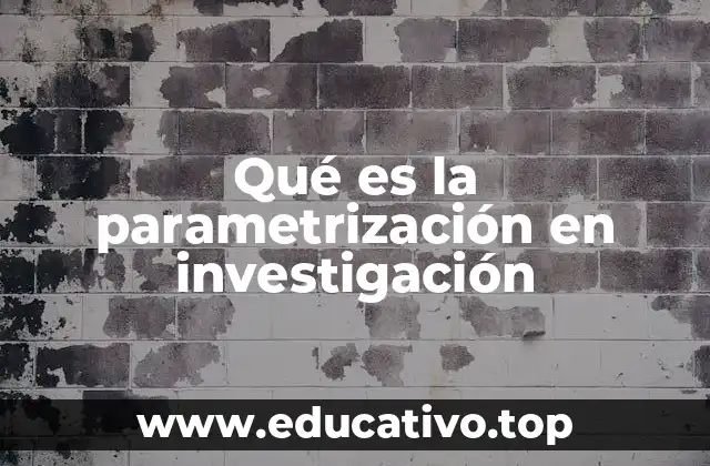 Qué es la parametrización en investigación