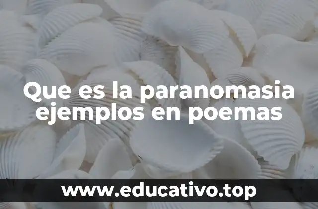 Que es la paranomasia ejemplos en poemas