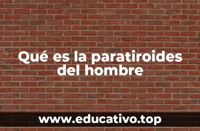 Qué es la paratiroides del hombre