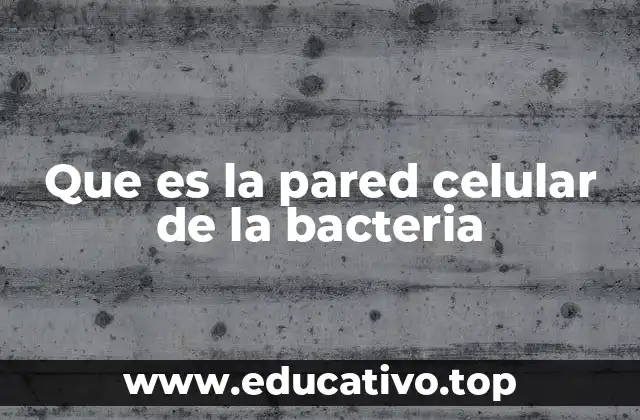 Que es la pared celular de la bacteria