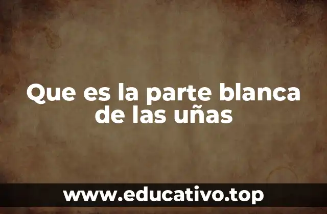 Que es la parte blanca de las uñas