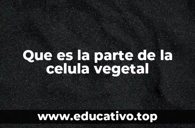 Que es la parte de la celula vegetal