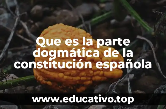 Que es la parte dogmática de la constitución española