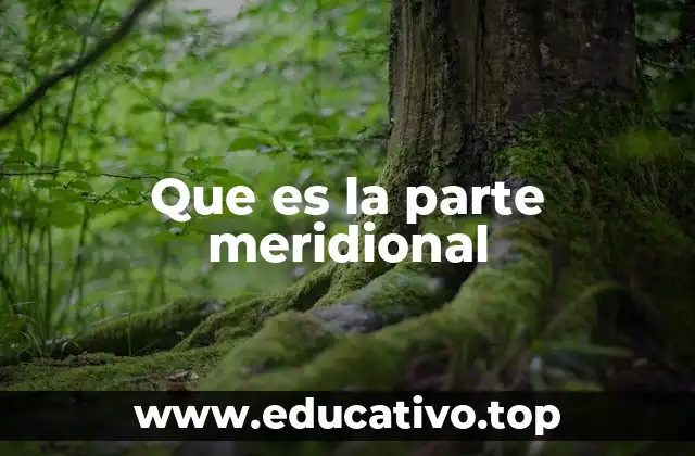 Que es la parte meridional