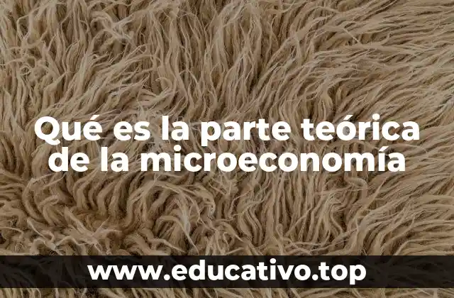 Qué es la parte teórica de la microeconomía