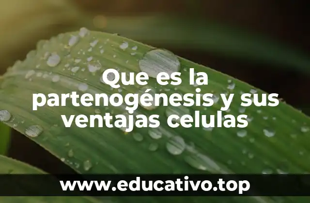 Mecanismos biológicos detrás de la partenogénesis