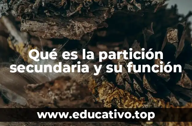 Qué es la partición secundaria y su función