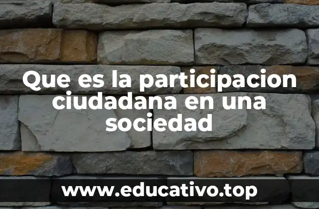 Que es la participacion ciudadana en una sociedad
