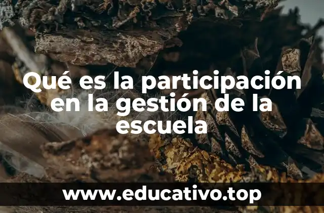 Qué es la participación en la gestión de la escuela