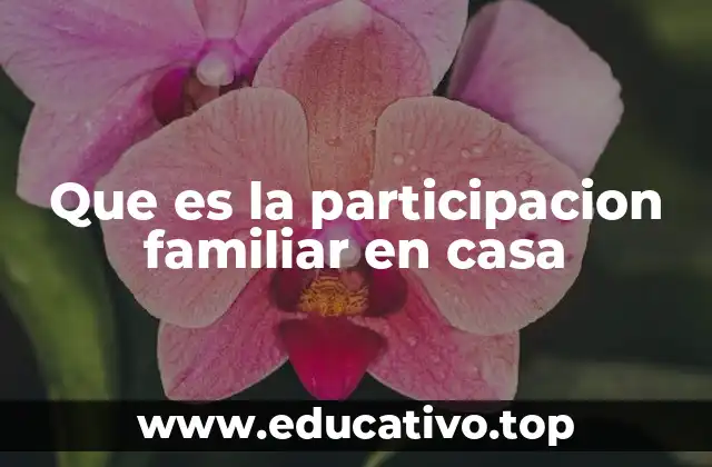 Que es la participacion familiar en casa
