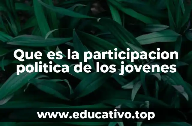 Que es la participacion politica de los jovenes