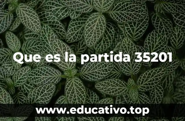 Que es la partida 35201