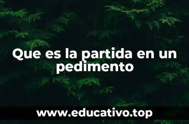Que es la partida en un pedimento