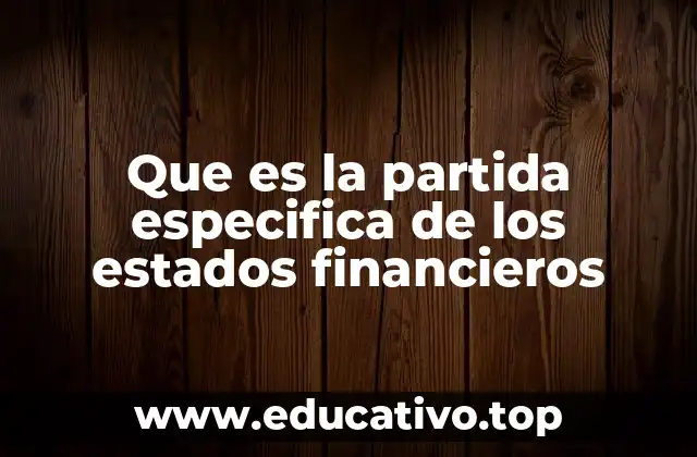 Que es la partida especifica de los estados financieros