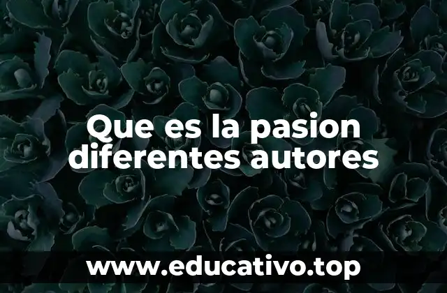 Que es la pasion diferentes autores