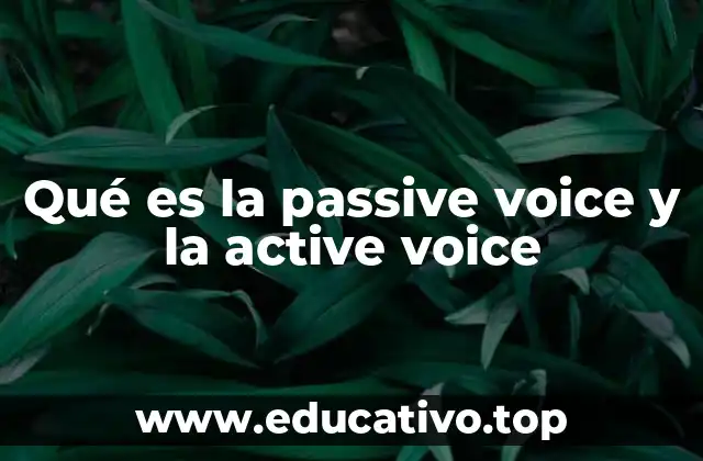 Qué es la passive voice y la active voice