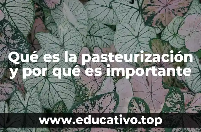 Qué es la pasteurización y por qué es importante