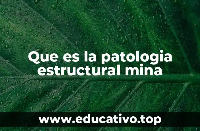 Que es la patologia estructural mina