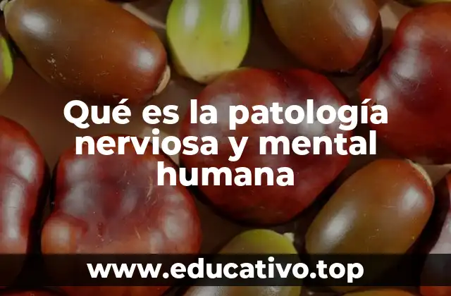 Qué es la patología nerviosa y mental humana