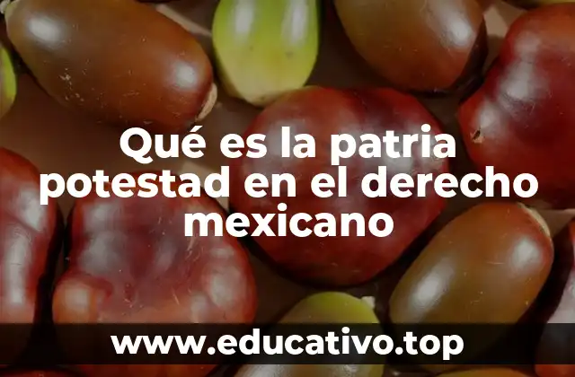 Qué es la patria potestad en el derecho mexicano