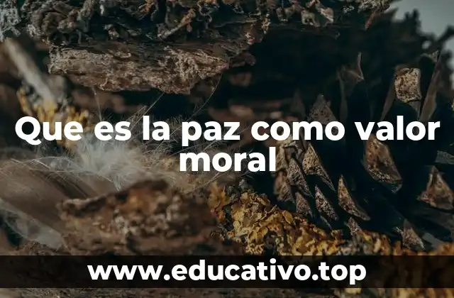 Que es la paz como valor moral