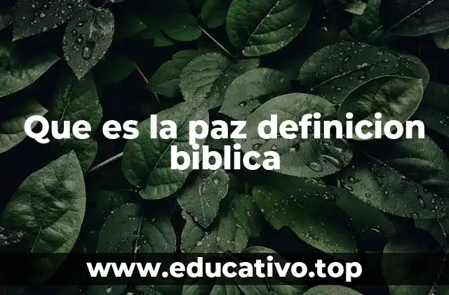 Que es la paz definicion biblica