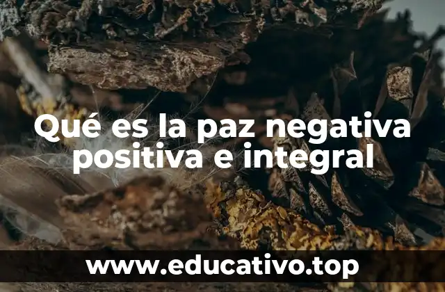 Qué es la paz negativa positiva e integral