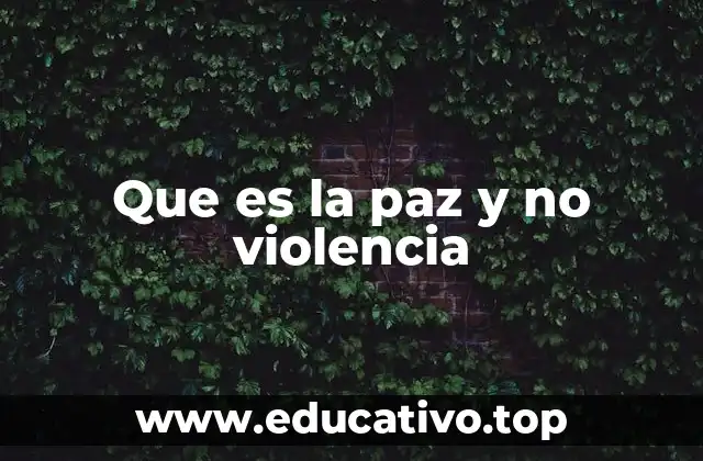 Que es la paz y no violencia