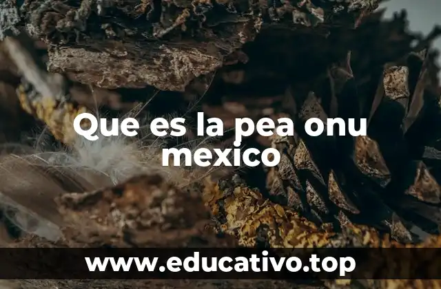 Que es la pea onu mexico