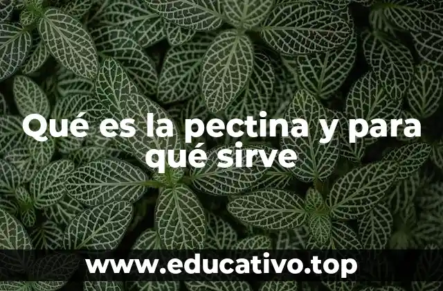 Qué es la pectina y para qué sirve