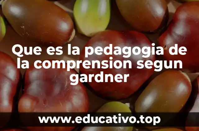 Que es la pedagogia de la comprension segun gardner