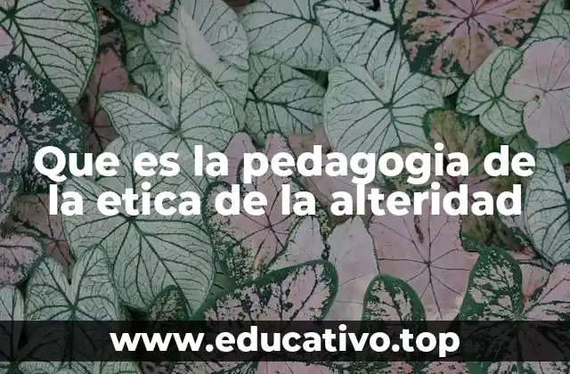 Que es la pedagogia de la etica de la alteridad