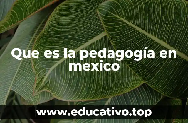 Que es la pedagogía en mexico