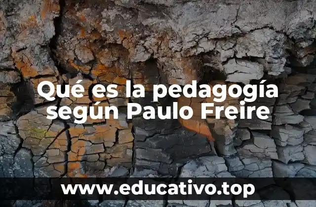 Qué es la pedagogía según Paulo Freire