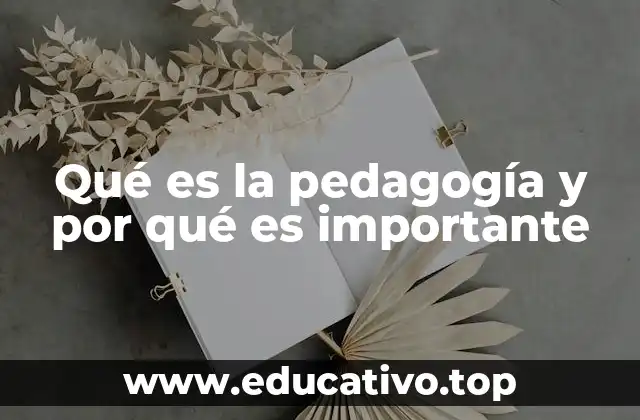 Qué es la pedagogía y por qué es importante