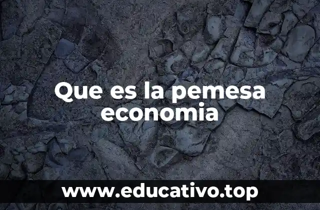 Que es la pemesa economia