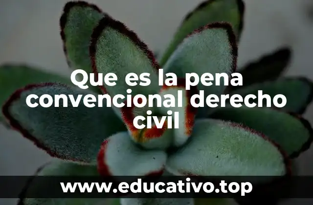Que es la pena convencional derecho civil