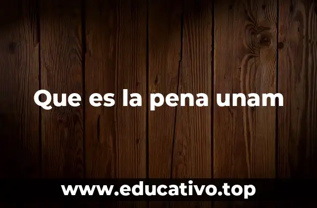 Que es la pena unam