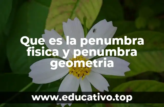 Que es la penumbra fisica y penumbra geometria