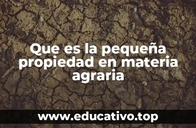 Que es la pequeña propiedad en materia agraria